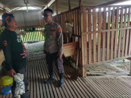 Polsek Manyar Dukung Ketahanan Pangan, Cek Perkembangan Peternakan Kambing di Peganden