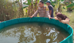 Perkuat Ketahanan Pangan, Polsek Benjeng Lakukan Pengecekan Kolam Lele di Bulurejo