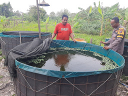 Budidaya Lele di Desa Sekarkurung Dipantau Polsek Kebomas untuk Dukung Ketahanan Pangan