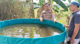 Mendukung Program Swasembada Pangan, Polsek Benjeng Lakukan Pengecekan Budidaya Ikan Lele di Bulurejo