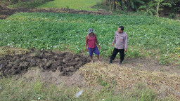 Polsek Balongpanggang Lakukan Pemantauan Lahan Kangkung, Wujud Dukungan Polri terhadap Ketahanan Pangan