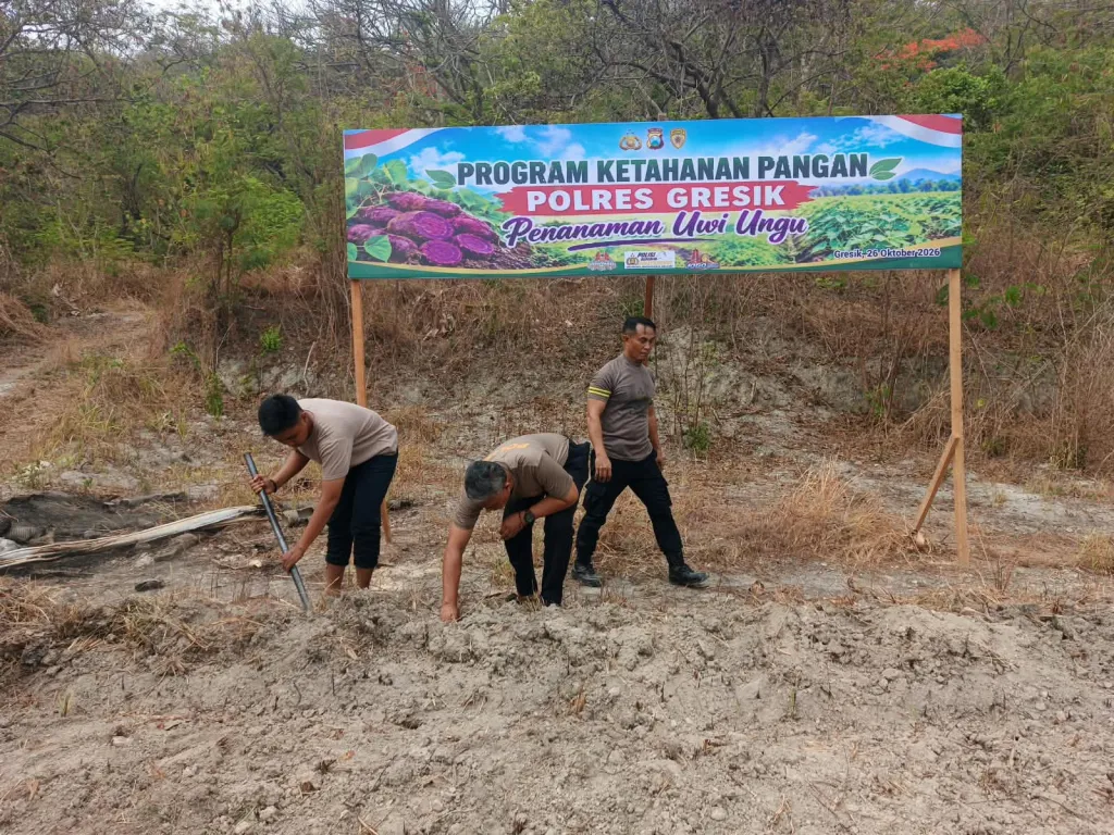 Polres Gresik Laksanakan Penanaman Uwi Ungu Dukung Program Pekarangan Pangan Bergizi